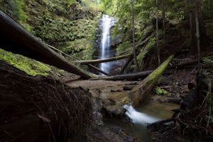 The Perfect Weekend Adventure at Big Basin State Park