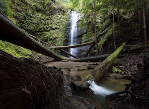 The Perfect Weekend Adventure at Big Basin State Park