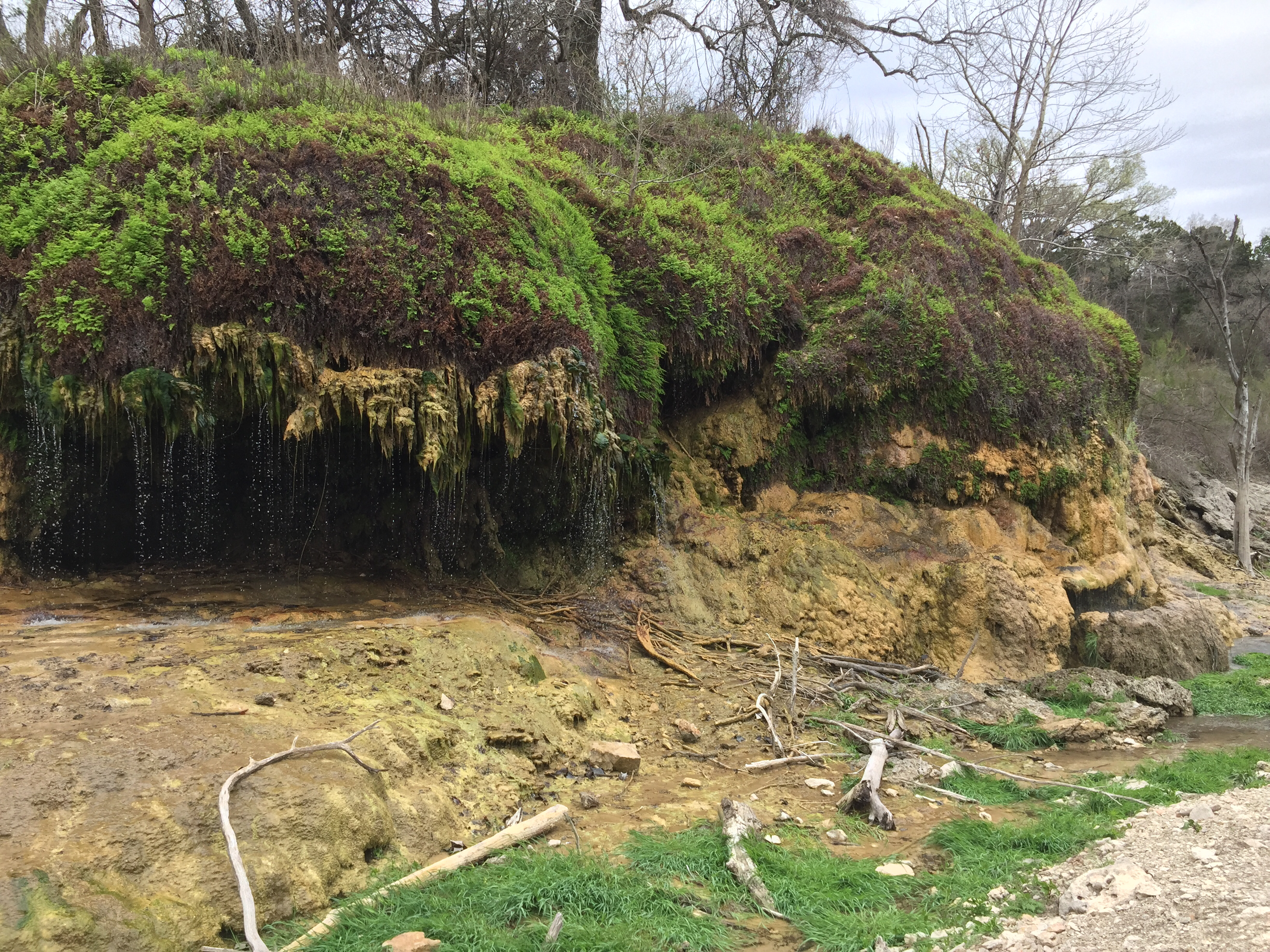 Crockett Gardens and Falls