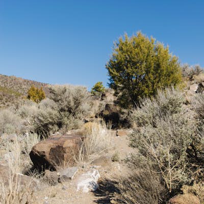Hike La Senda de Medio Trail