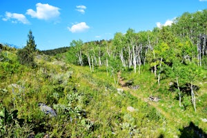 Hike Riley's Canyon