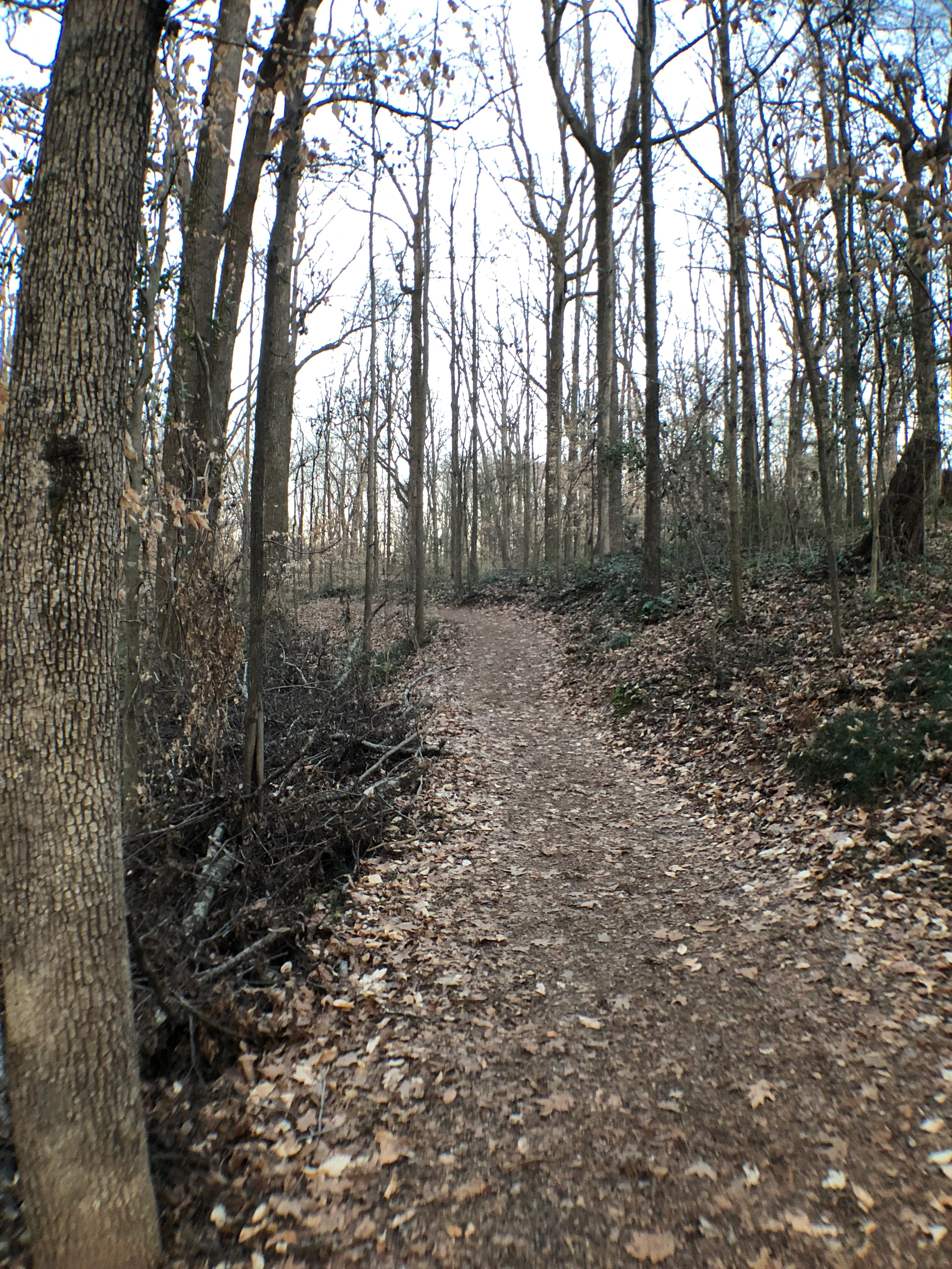 Deepdene Park