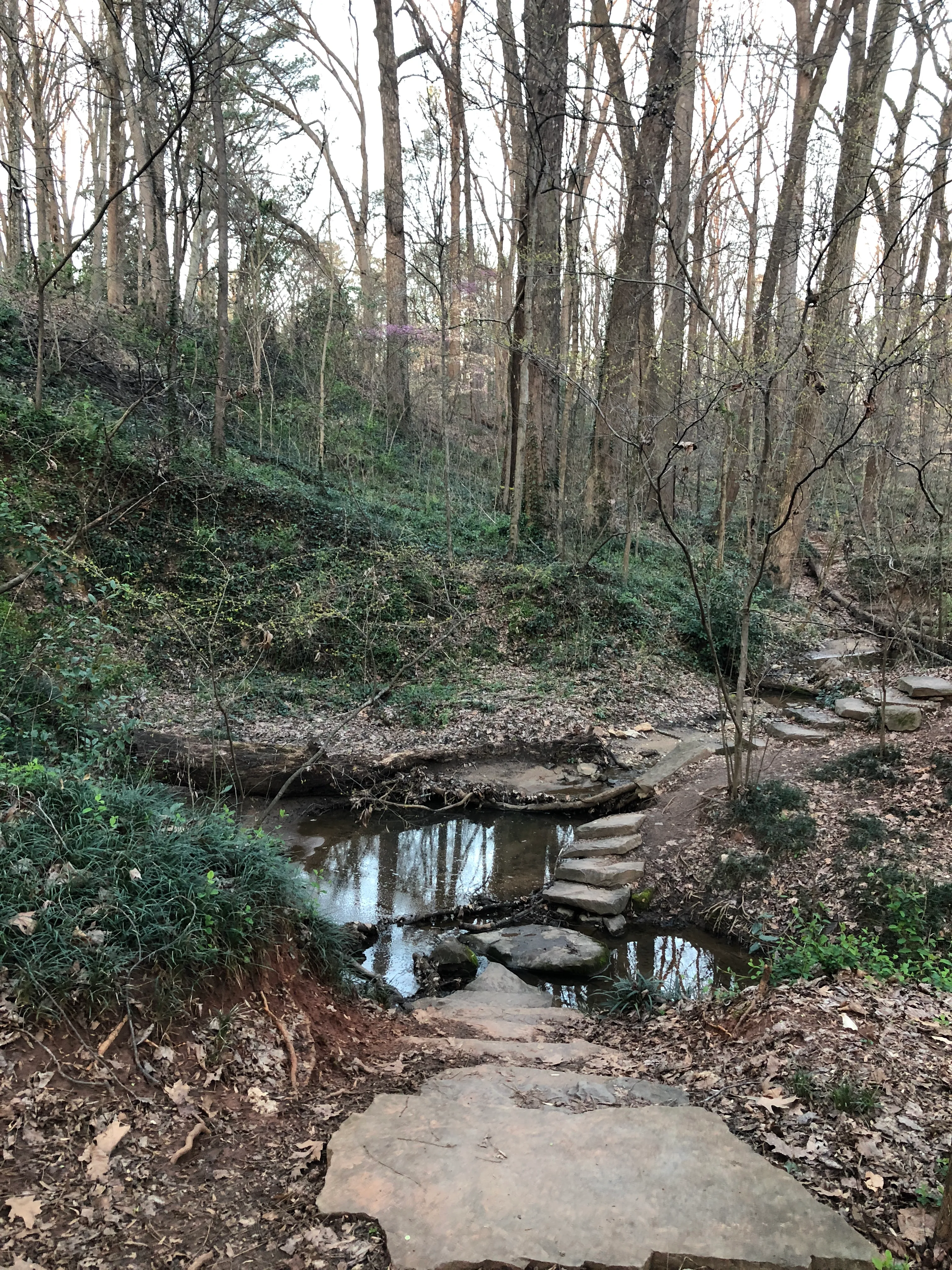 Deepdene Park