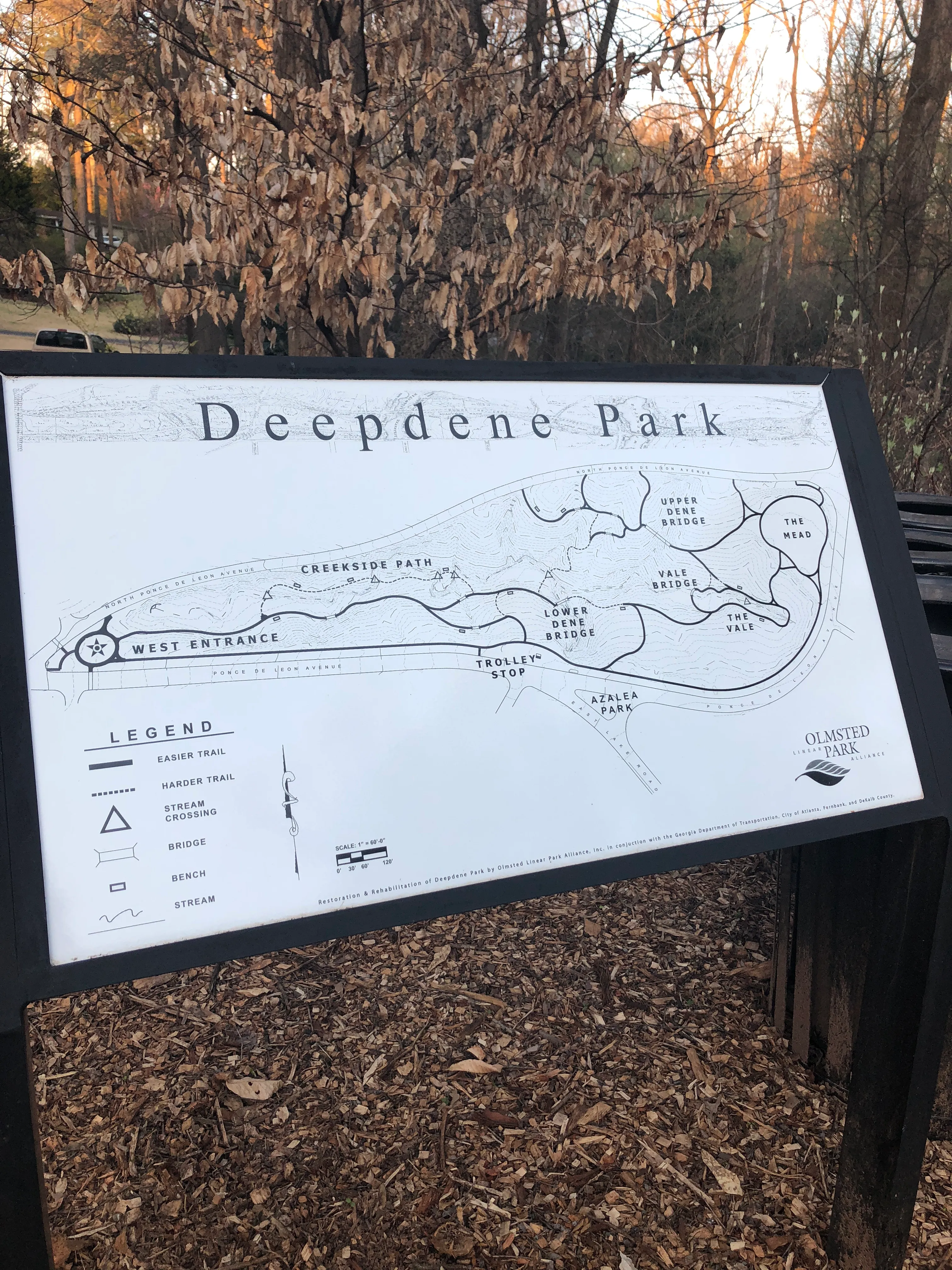 Deepdene Park