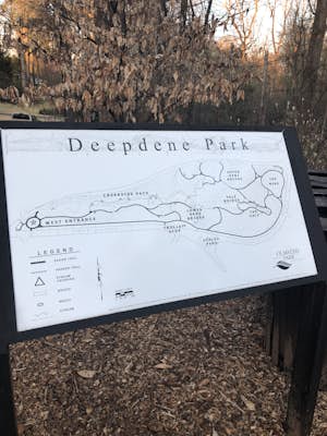 Stroll through Deepdene Park
