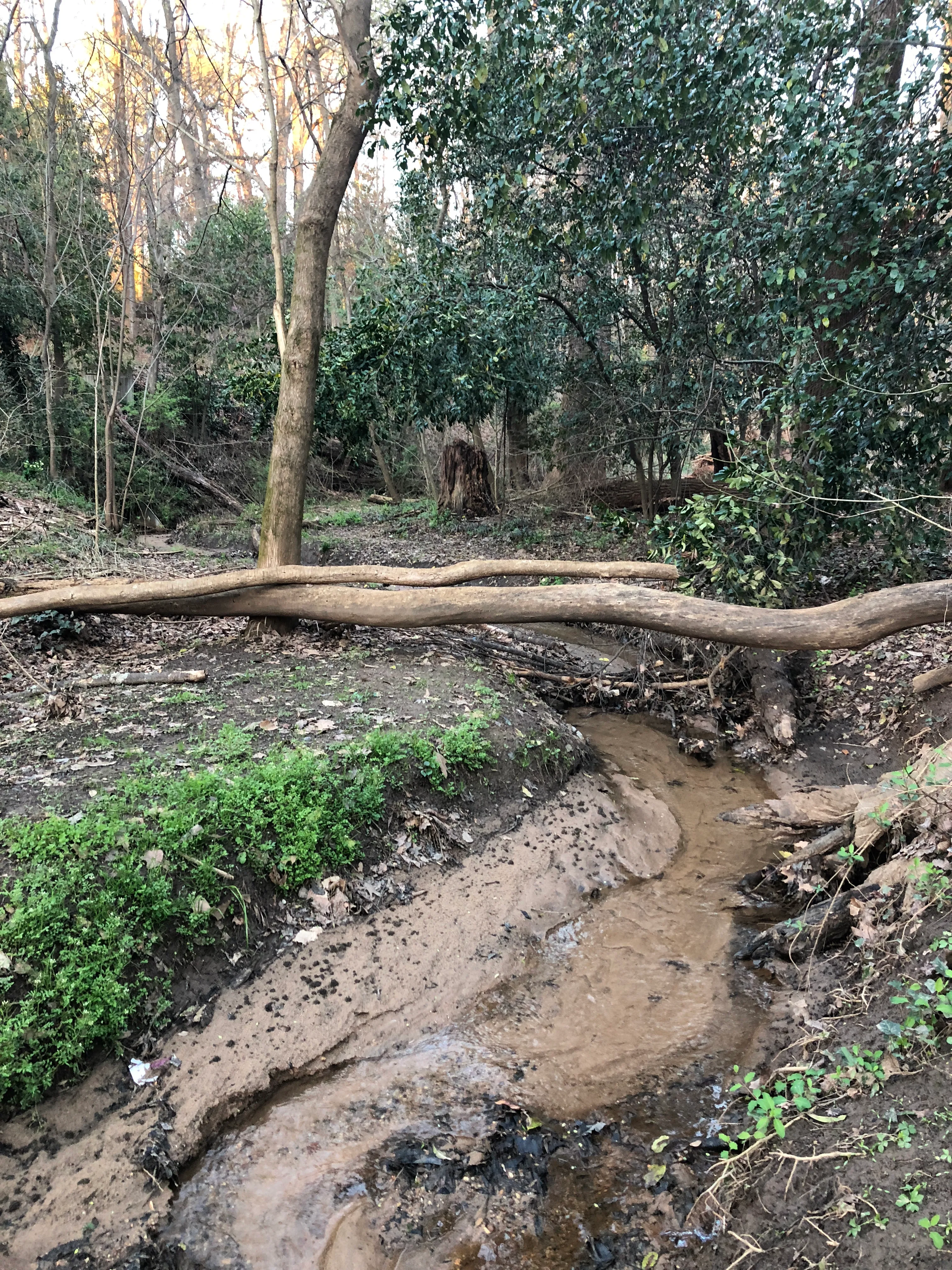 Deepdene Park