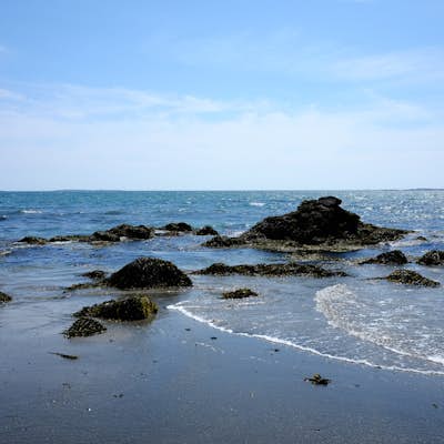 Explore the Anchorage Provincial Park's beach in Grand Manan
