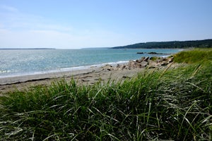 Explore the Anchorage Provincial Park's beach in Grand Manan