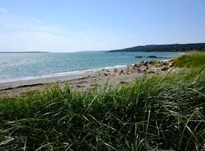 Explore the Anchorage Provincial Park's beach in Grand Manan