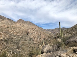 Hike to Hutch's Pool