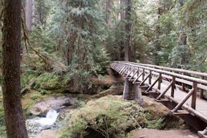 Hike to Bagby Hot Springs