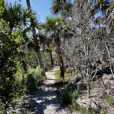 Hike the Turtle Mound Trail