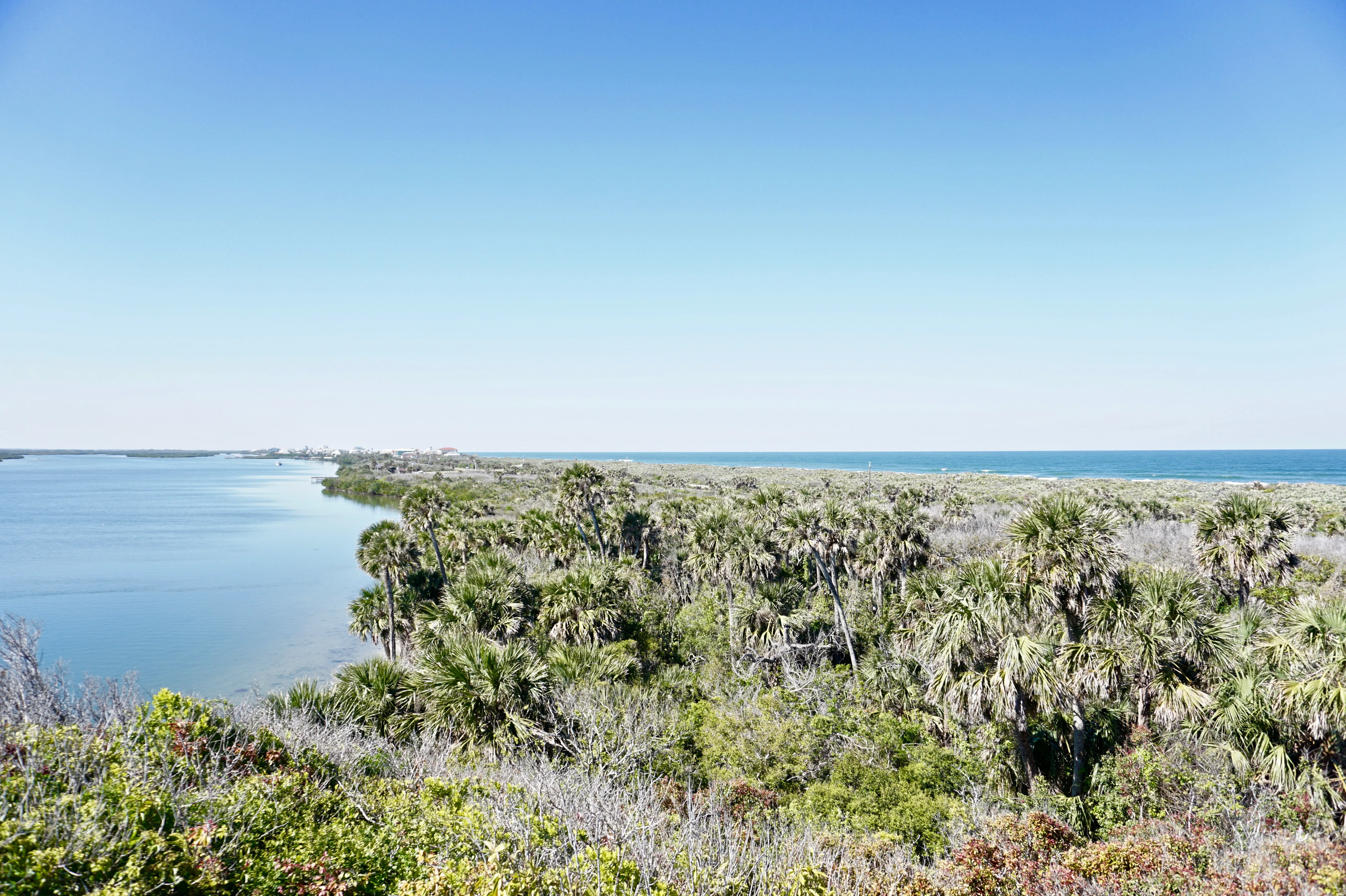 Hike the Turtle Mound Trail