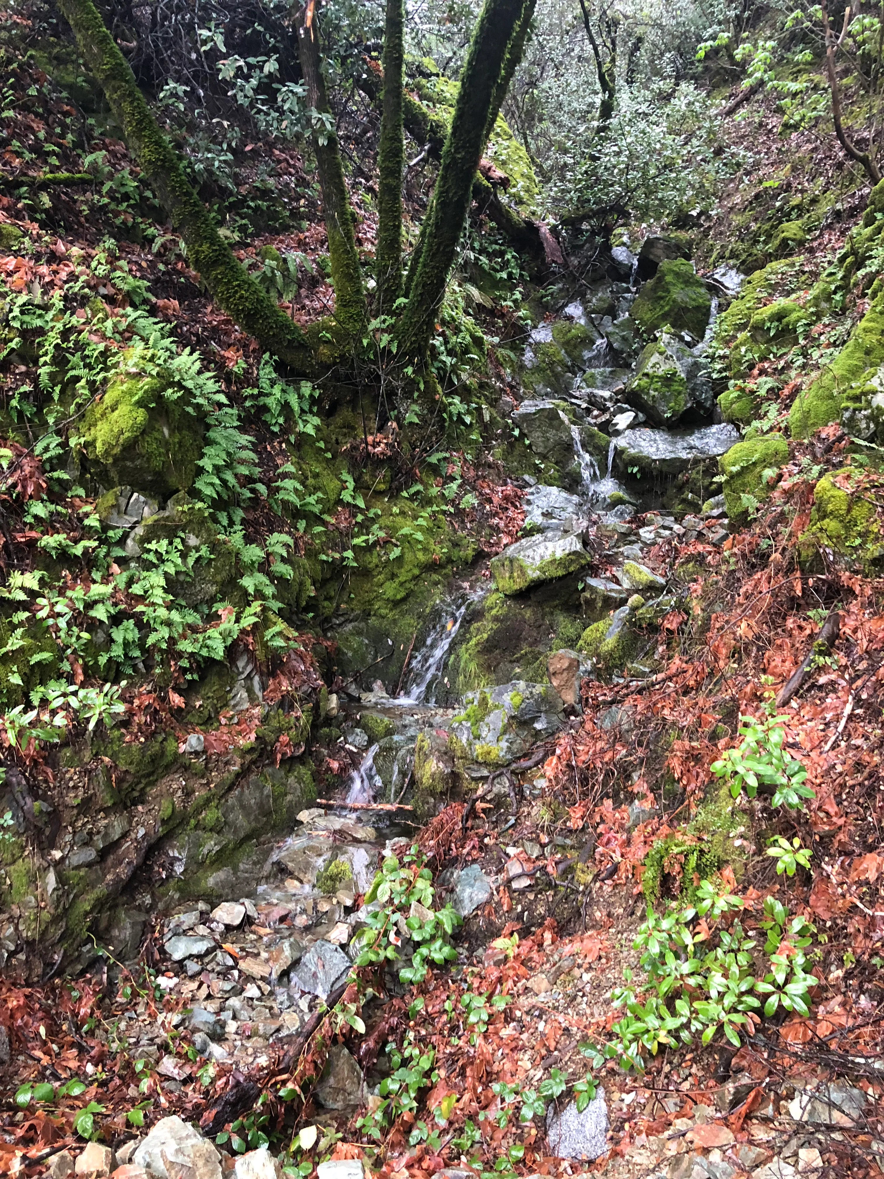 Hike Kanaka Peak
