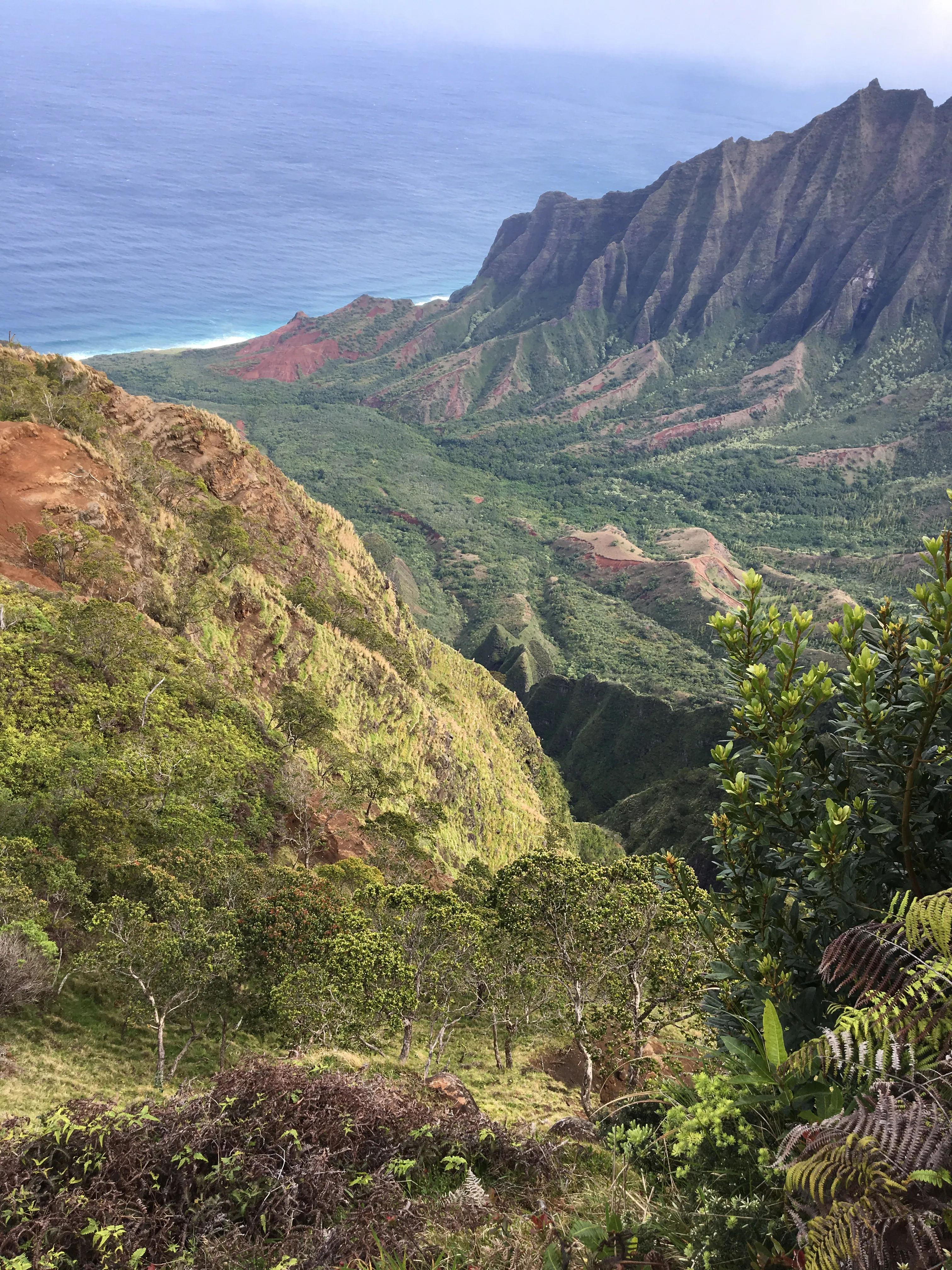 Hike Kalepa Ridge