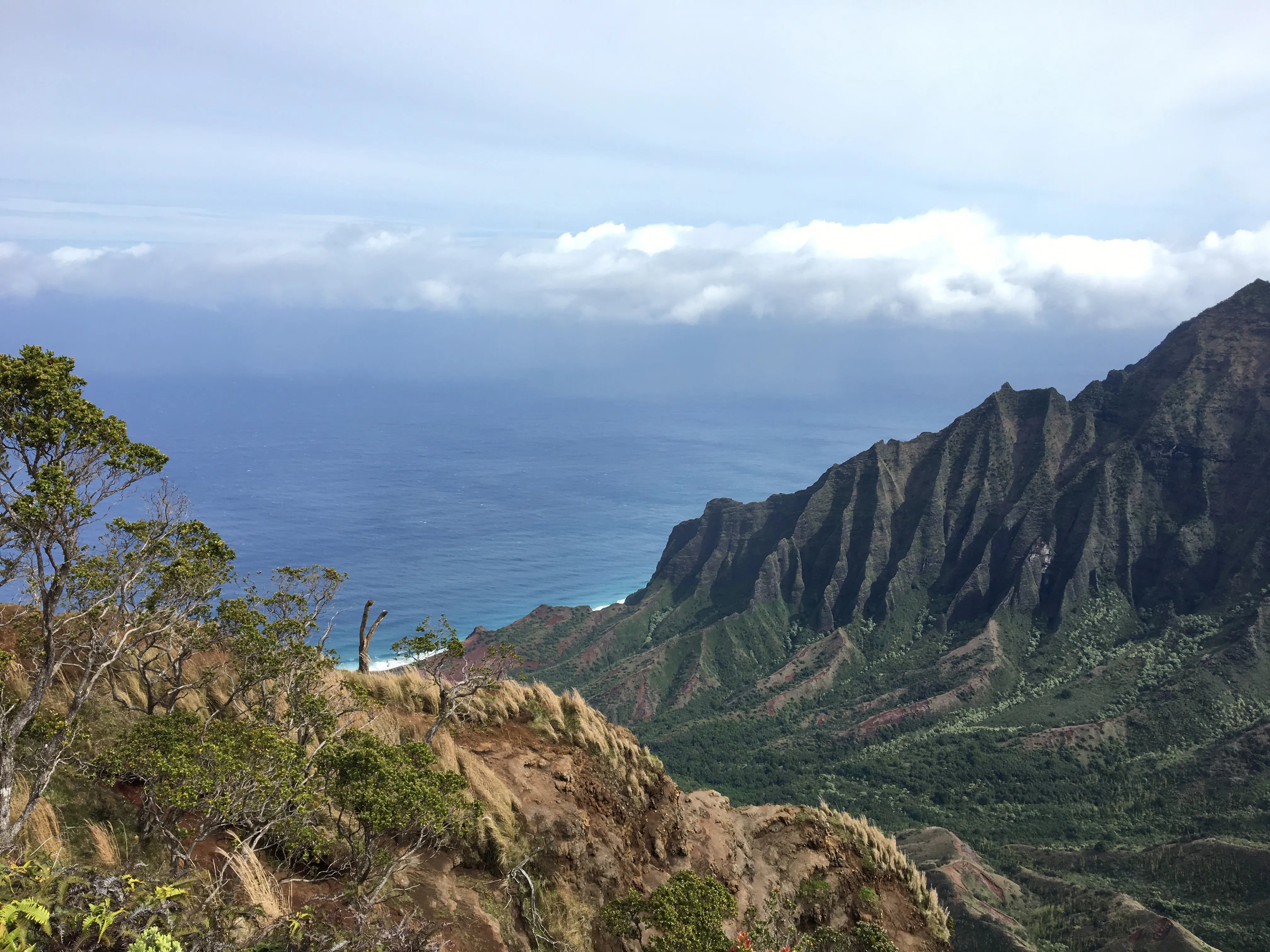 Hike Kalepa Ridge