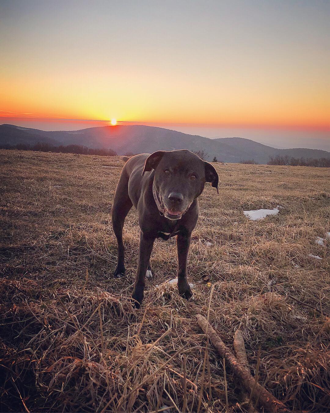 Huckleberry Knob