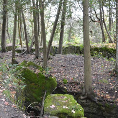 Hike the Limehouse Conservation Area Loop