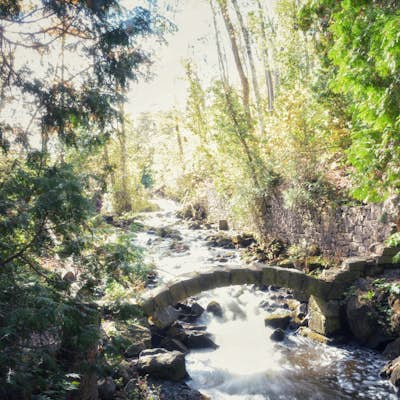 Hike the Limehouse Conservation Area Loop