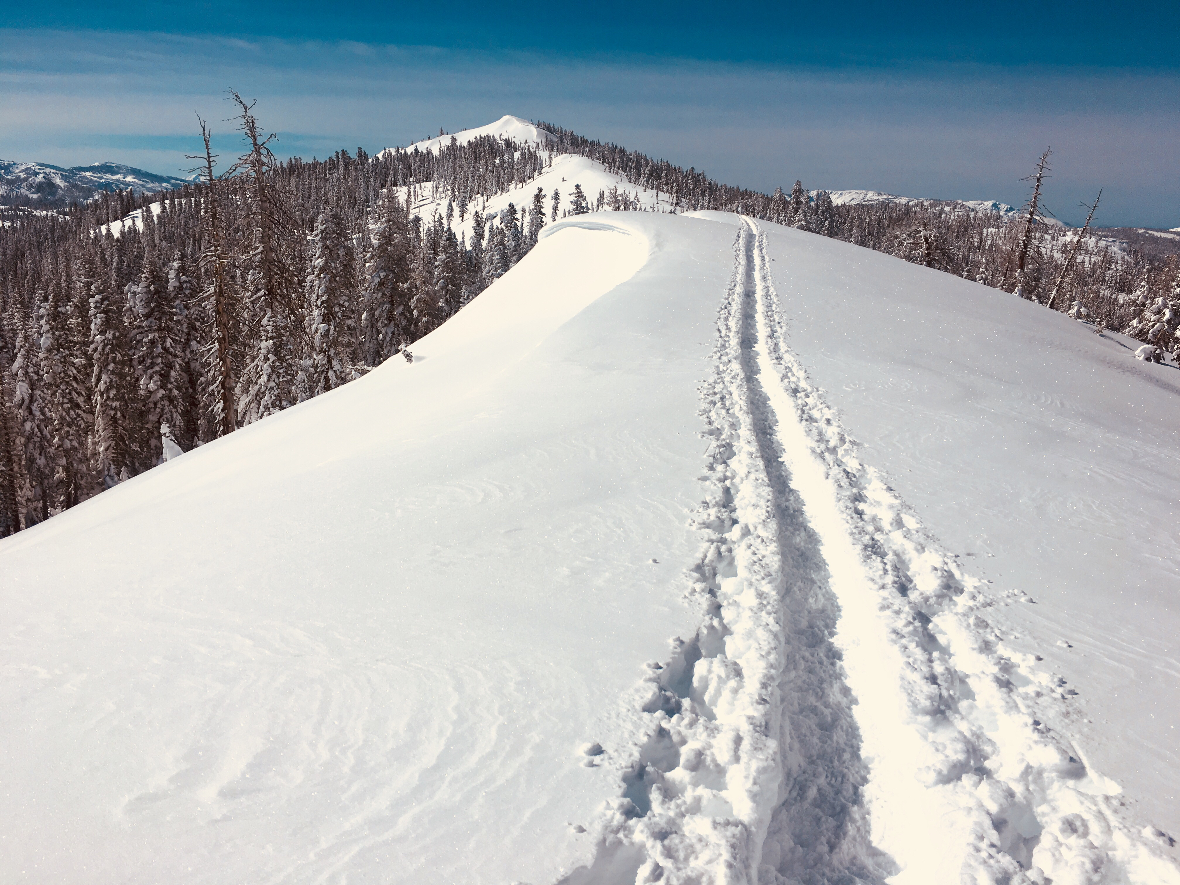 Snowshoe to the Peter Grubb Hut