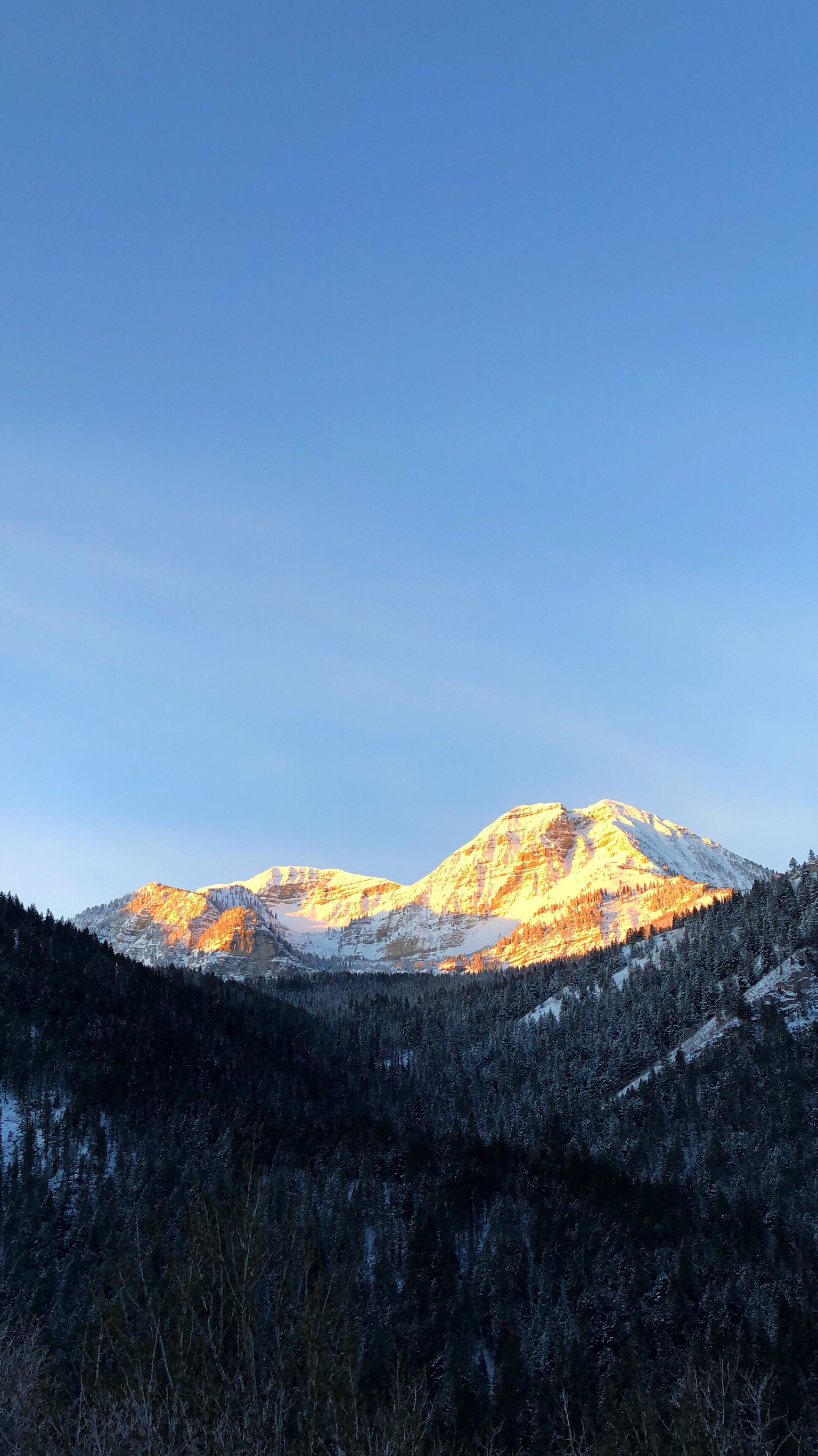 Sunrise over Mt. Timpanogos via Pine Hollow