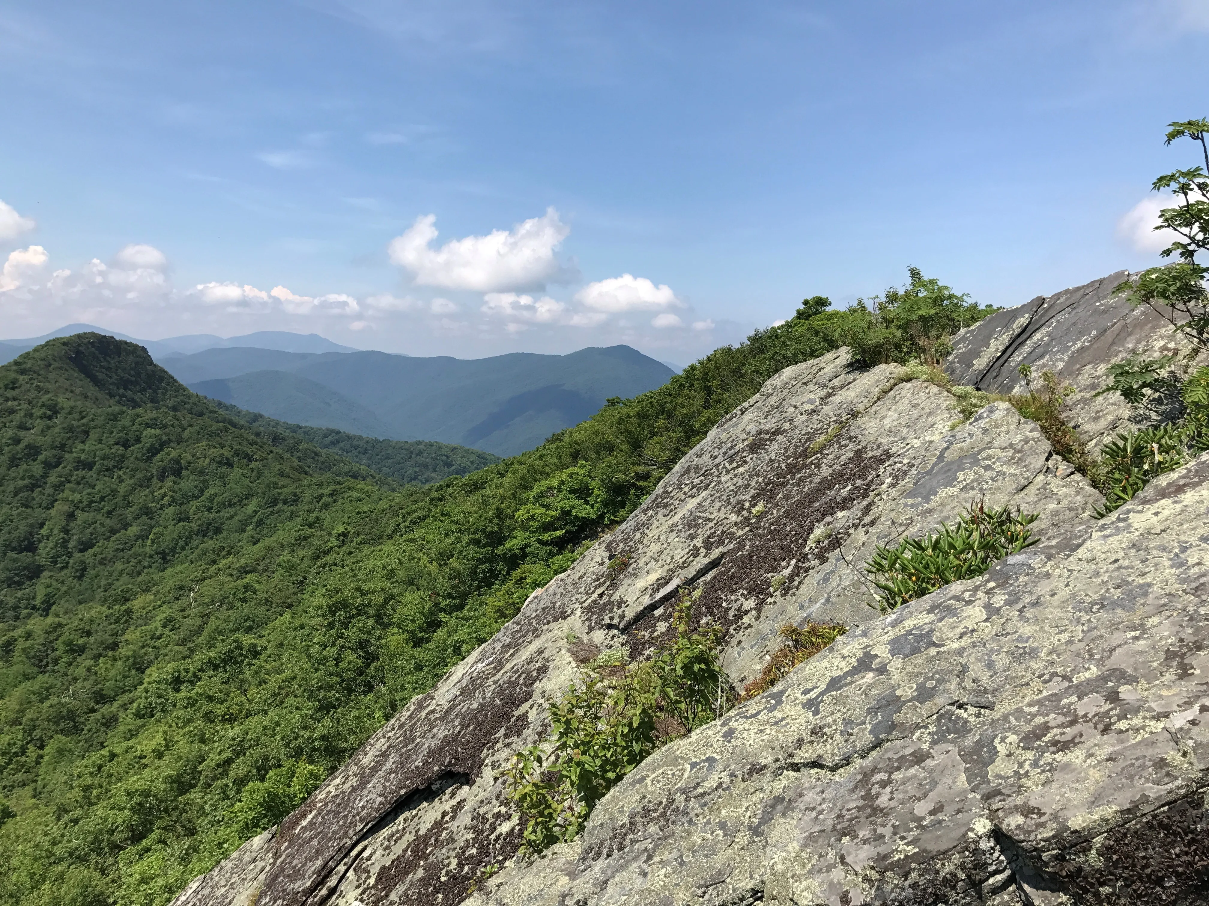Three Top Mountain