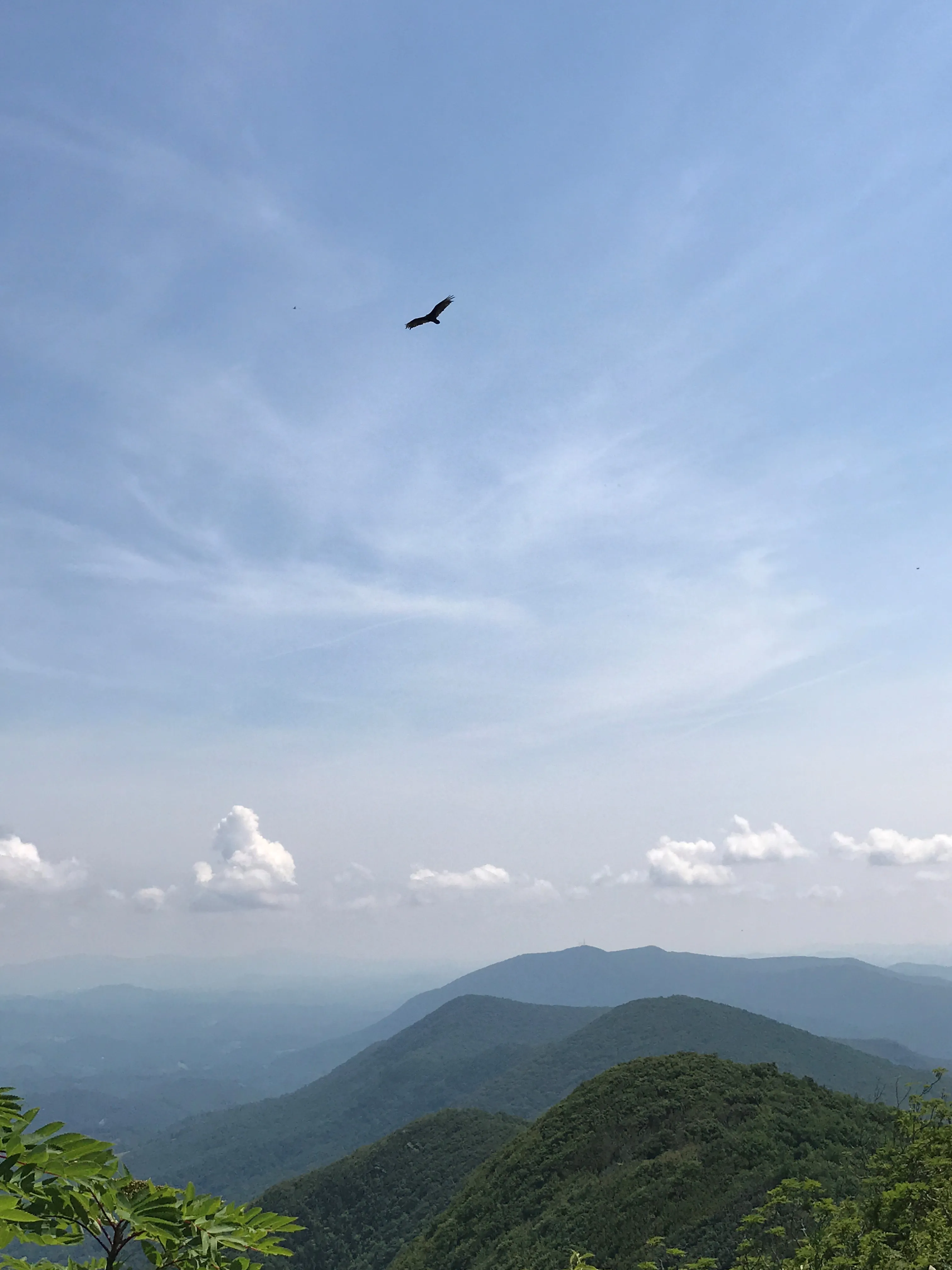 Three Top Mountain