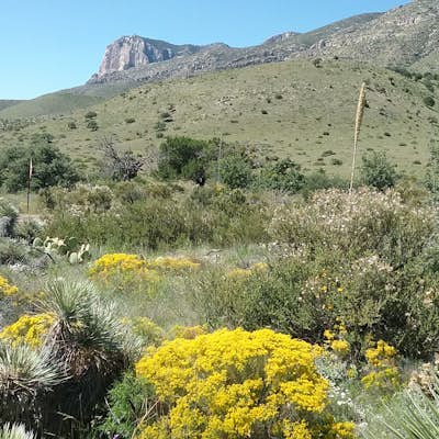 Explore theTexas Mountain Trail