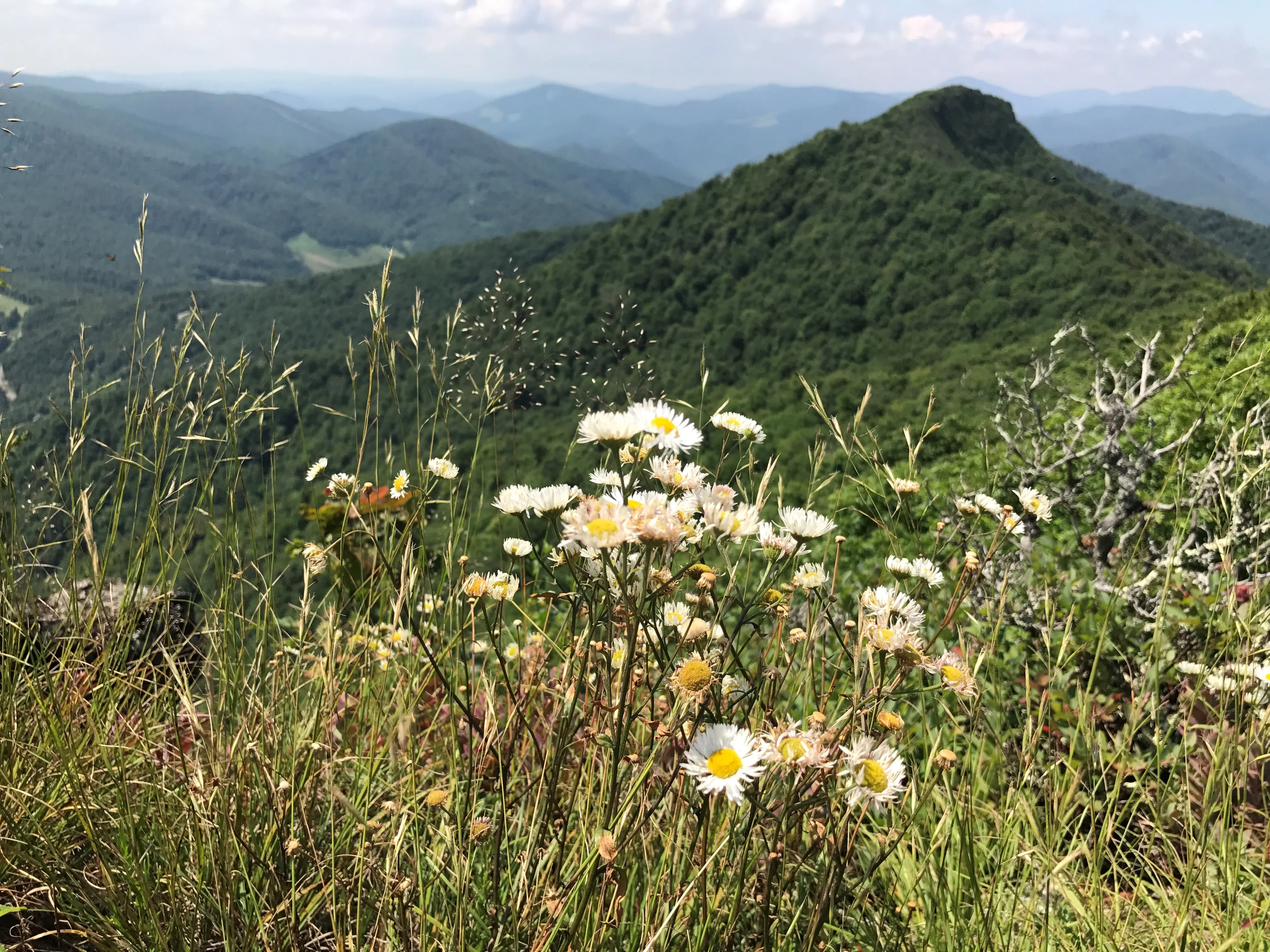 Three Top Mountain