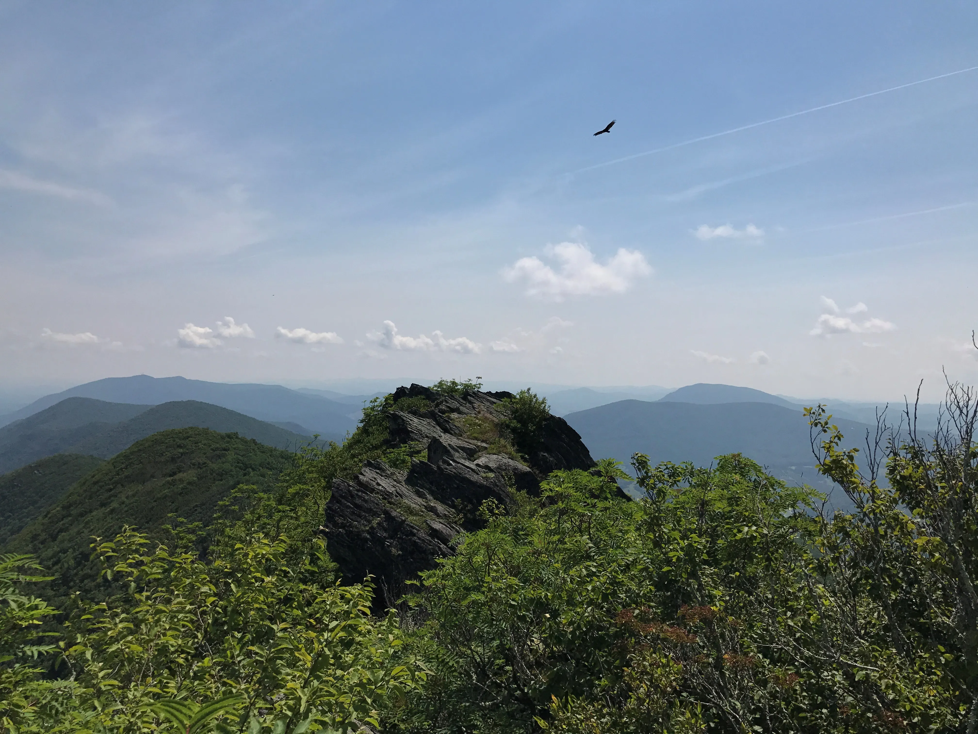 Three Top Mountain