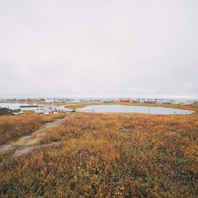 Explore Tuktoyaktuk and the Beaufort Sea