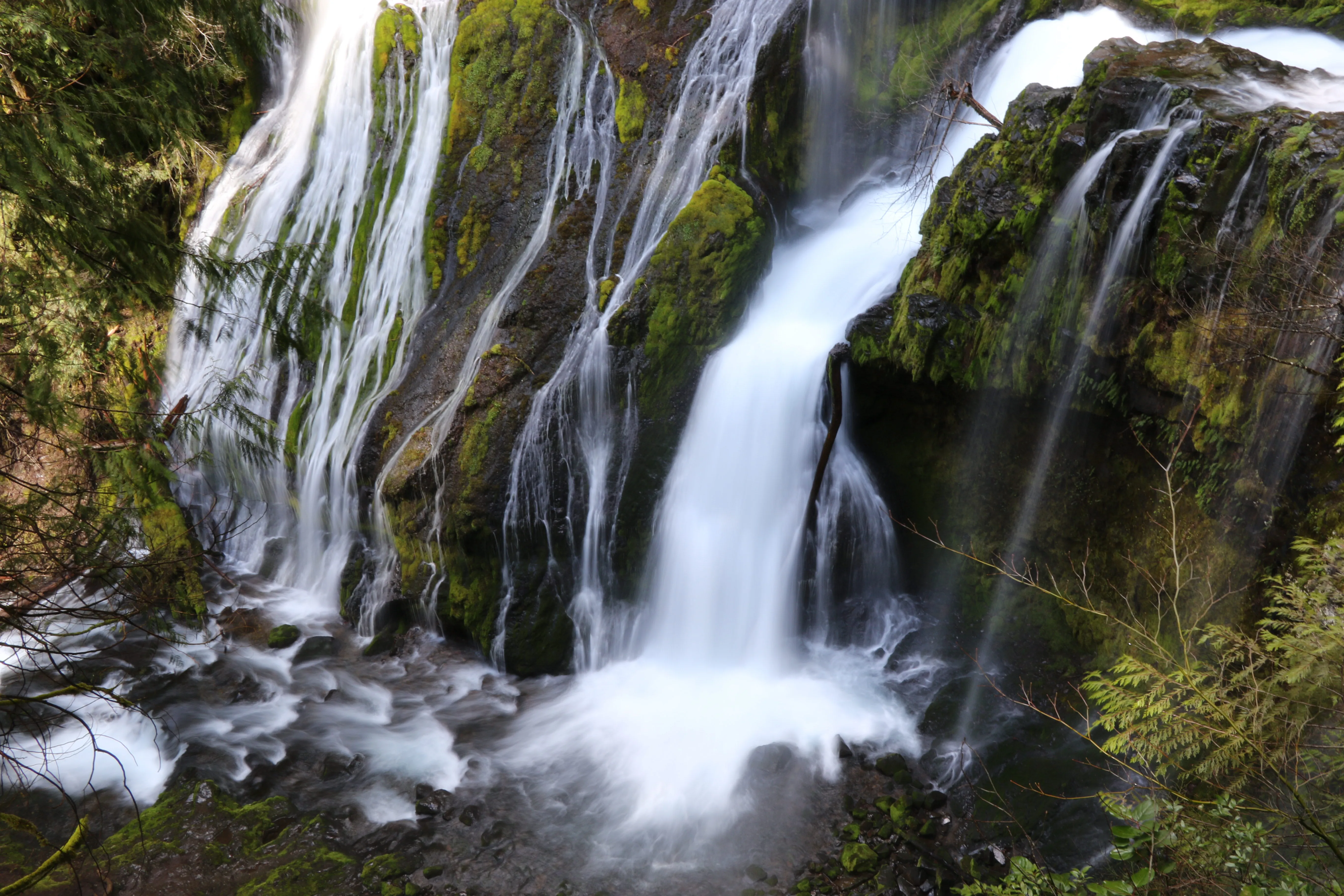 Panther Creek Falls