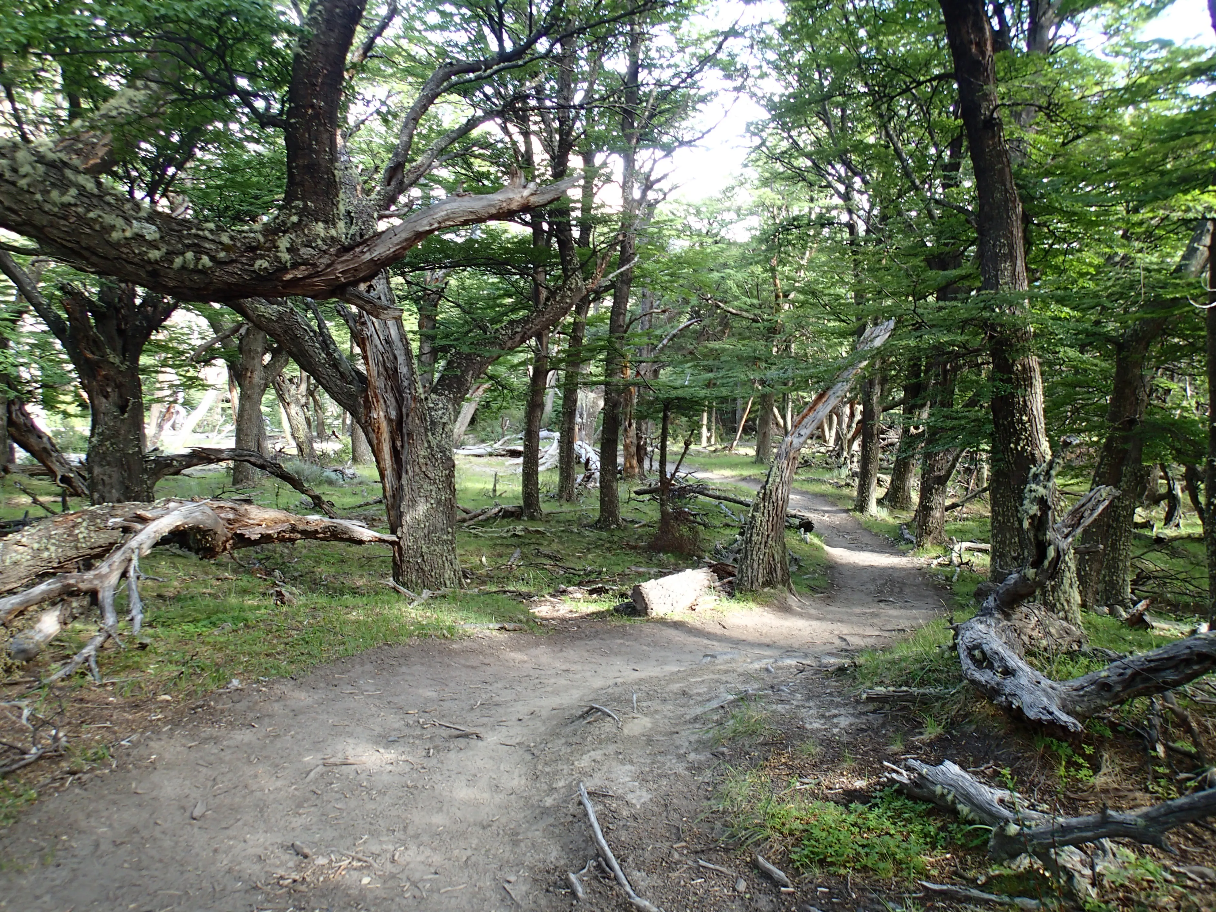 Hike to Piedra Del Fraile
