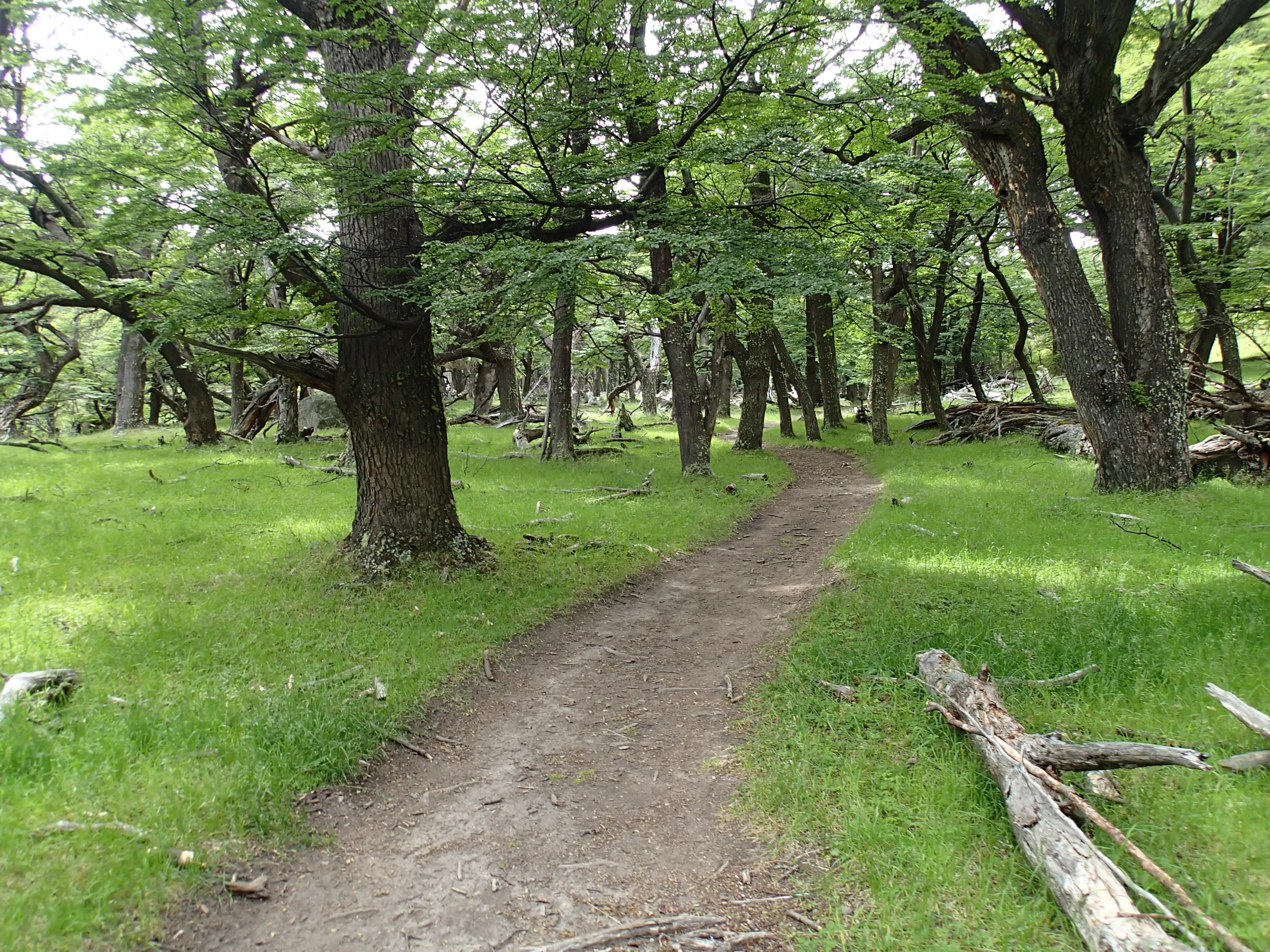 Hike to Piedra Del Fraile
