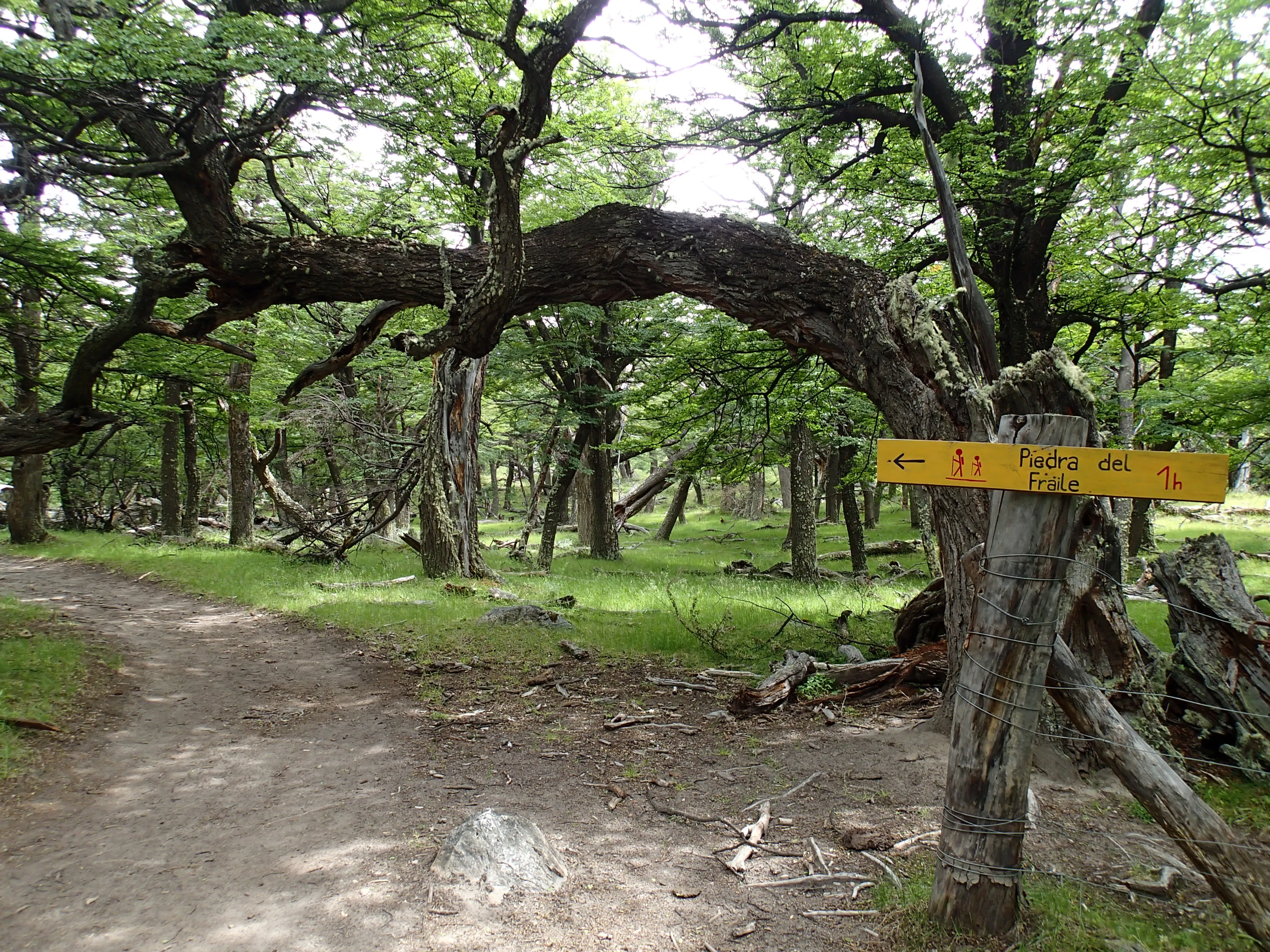 Hike to Piedra Del Fraile