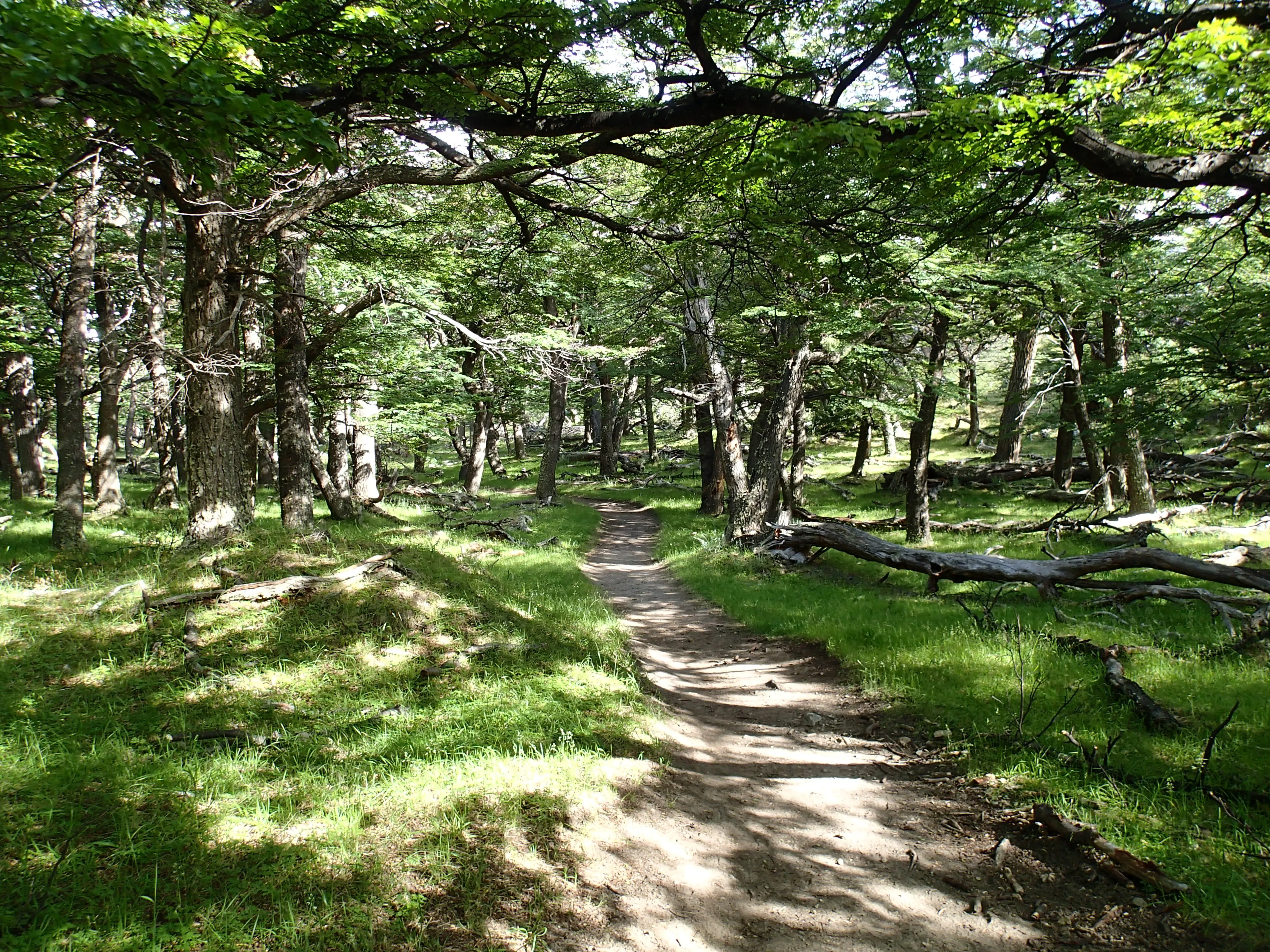 Hike to Piedra Del Fraile
