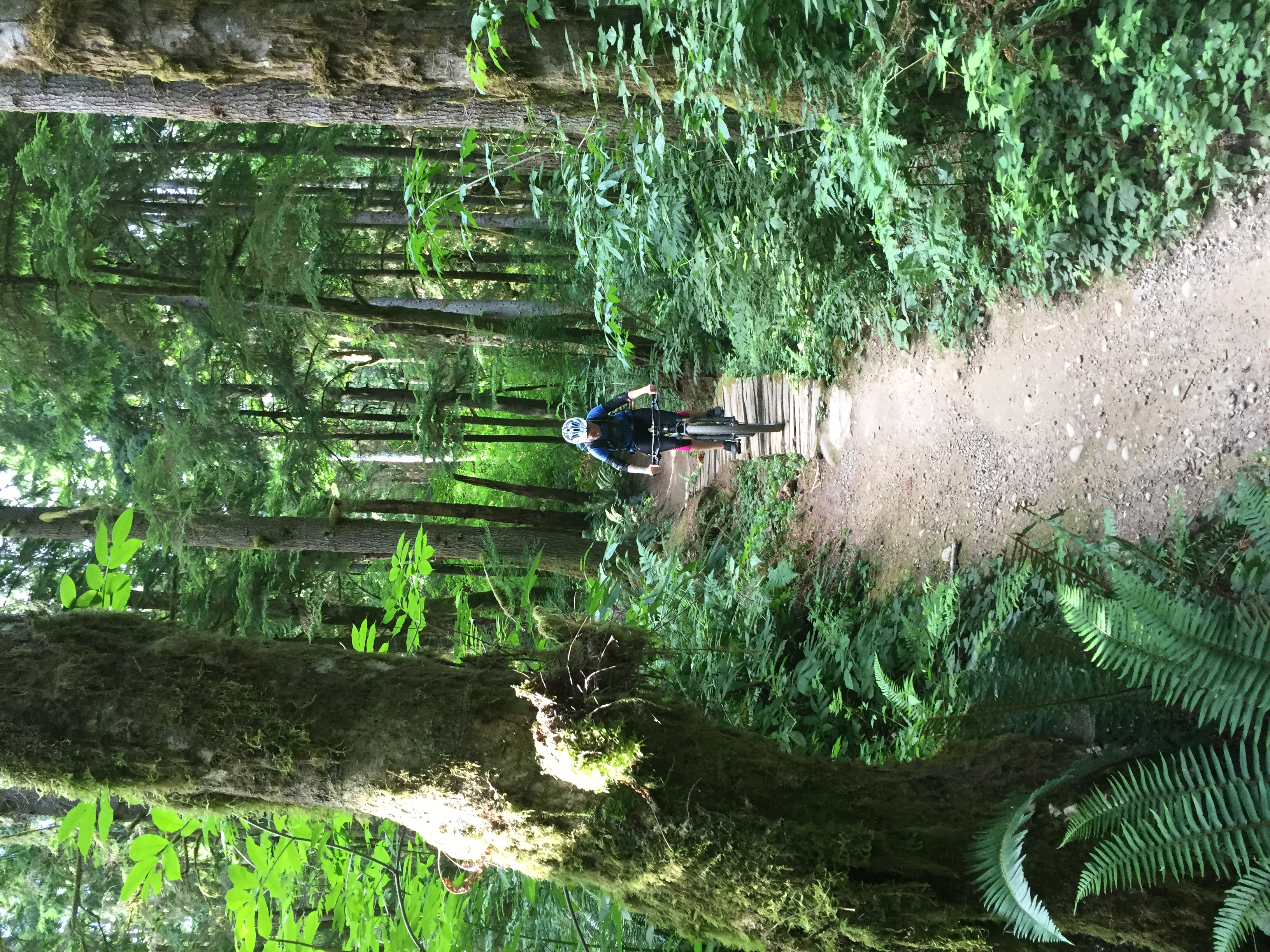 Duthie Hill Mountain Bike Park Loop