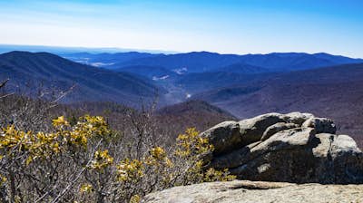 Hike to the Summit of Mt. Robertson in Shenandoah NP