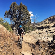 Mountain Bike at Oil Well Flats