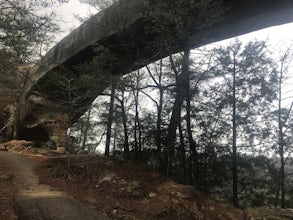 Hike Sky Bridge Loop