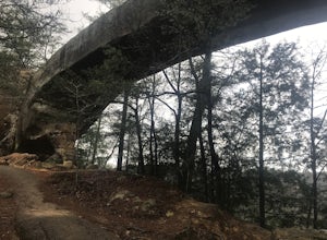 Hike Sky Bridge Loop