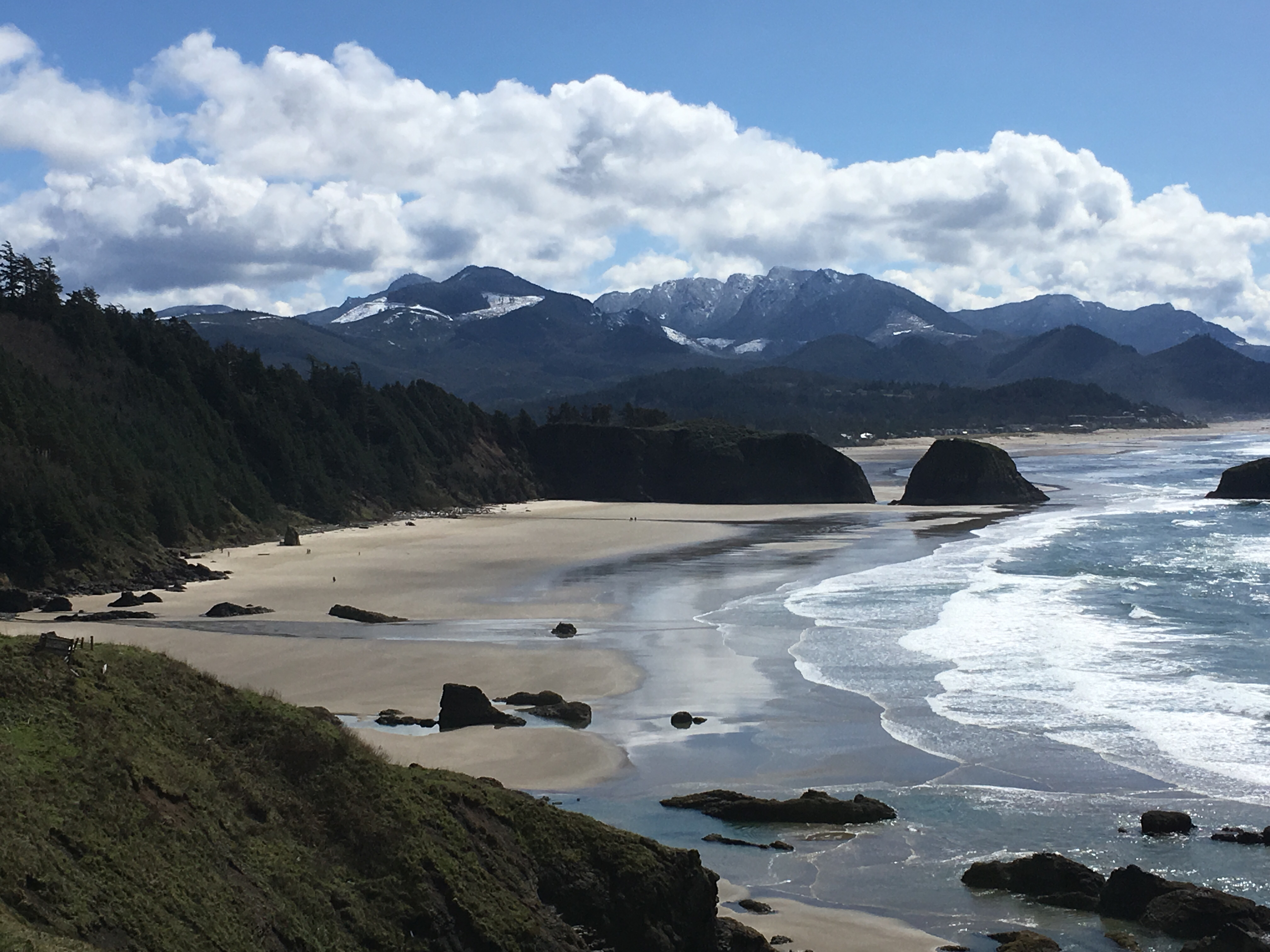 Explore Ecola State Park