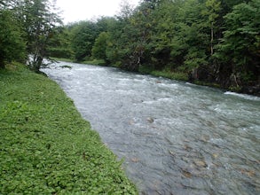 Hike the Cascada Rio Pipo Trail