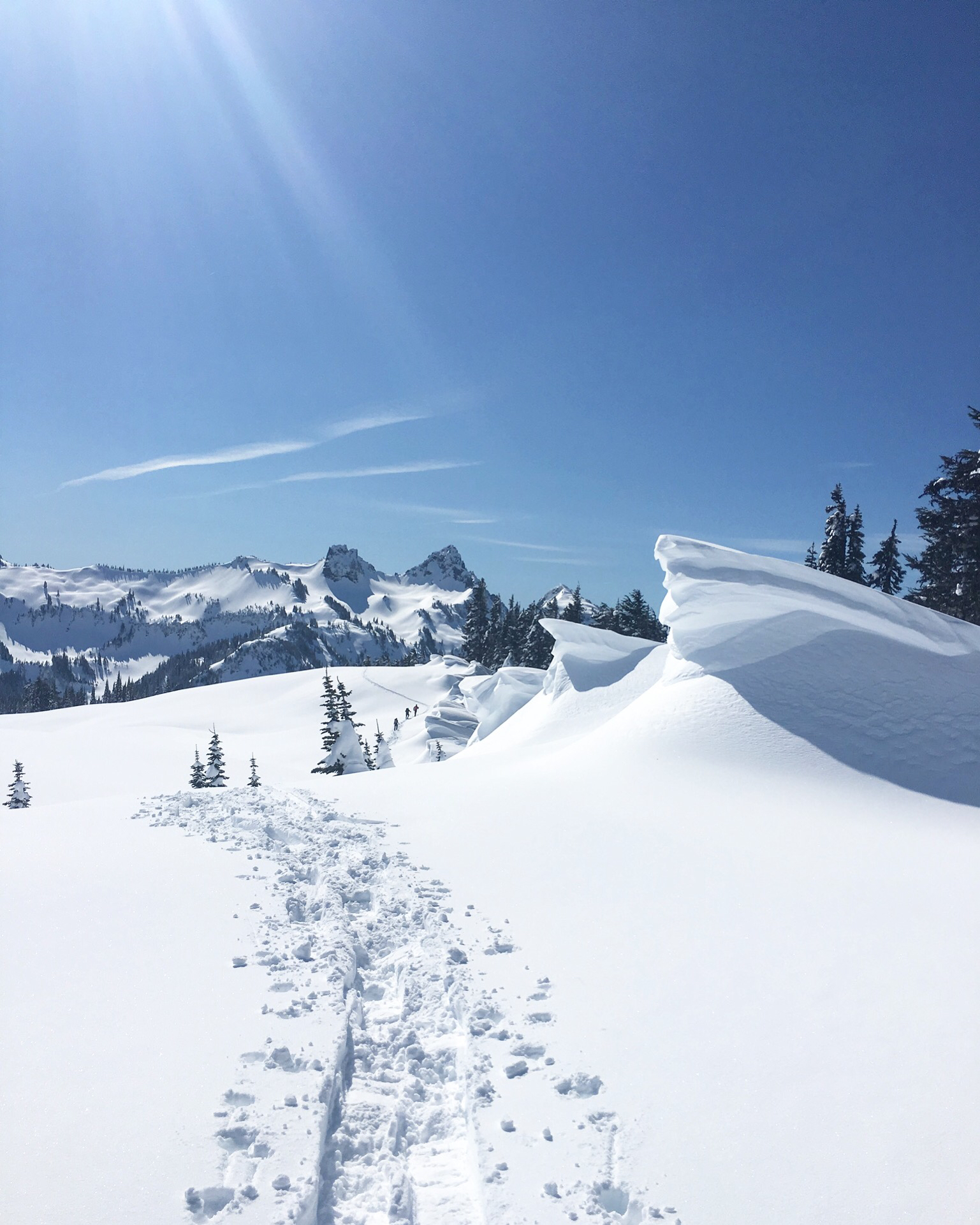 Mazama Ridge via Skyline Trail