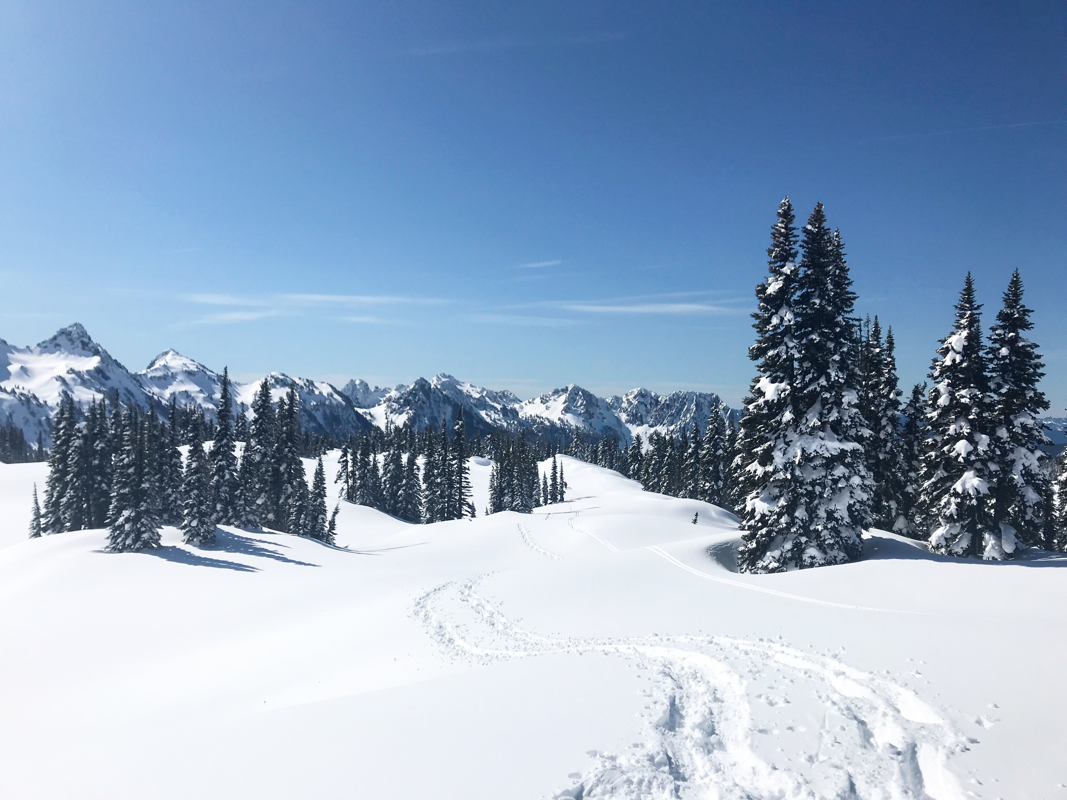 Mazama Ridge via Skyline Trail