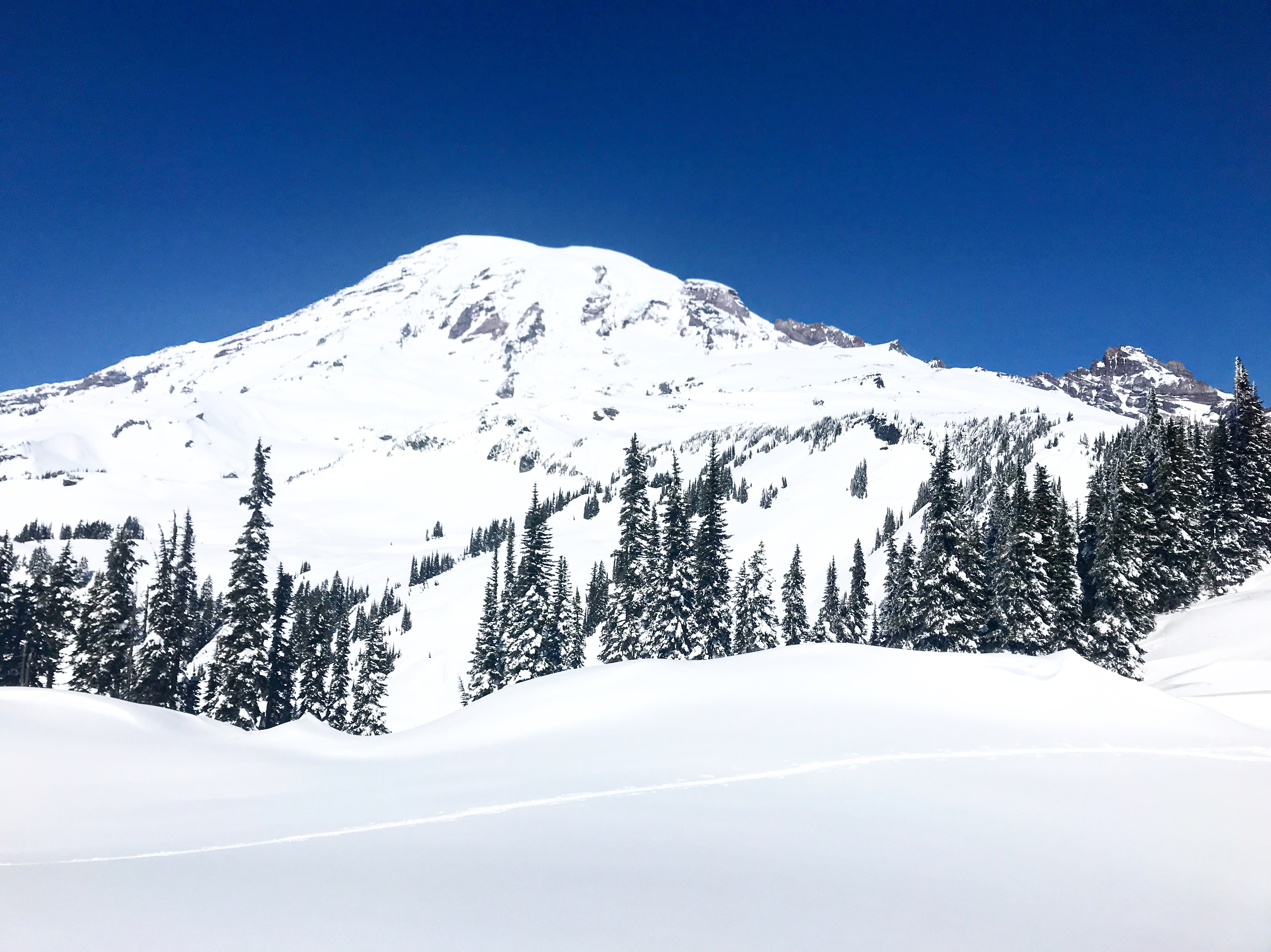 Mazama Ridge via Skyline Trail