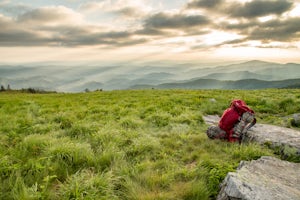 The 10 Best Spring Adventures in Tennessee