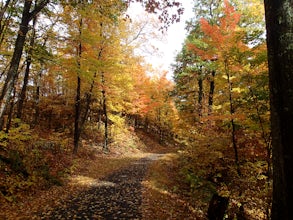 Hike the Overcliff - Undercliff Road Loop