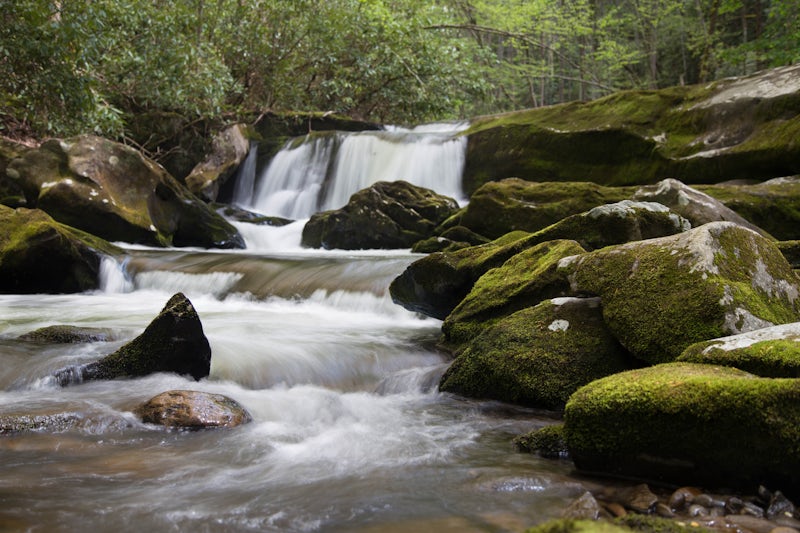 Photo of Hike to Indian Flat Falls via Middle Prong Trail