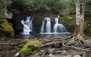 Hike to Indian Flat Falls via Middle Prong Trail